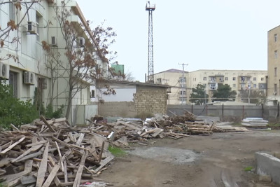 Lökbatanda qanunsuz kəsilən ağaclardan icra başçısının “xəbəri olmayıb”