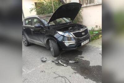 Bakıda hüquq müdafiəçisinin avtomobilinə itlər ziyan vurub