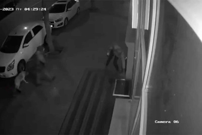 Bakıda küçə heyvanlarının yemlərini oğurlayan şəxs peyda olub - VİDEO
