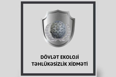 Ekologiya Nazirliyi ağacların kəsilməsi barədə daxil olan şikəyəti araşdırıb