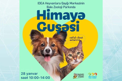 Bakı Zoolojı Parkı: dördayaqlı dosta sahib olmaq istəyənlərin nəzərinə