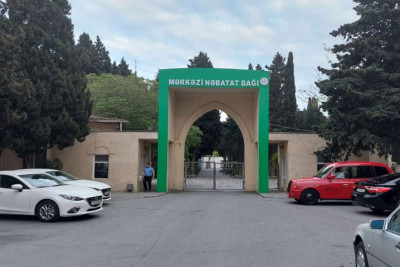 Nəbatat Bağı barəsində yayılan şəkillər təqdim olunan layihələrdən biridir
