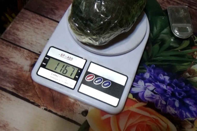 Xəzər rayonunda 46 nəfər narkotacir tutulub