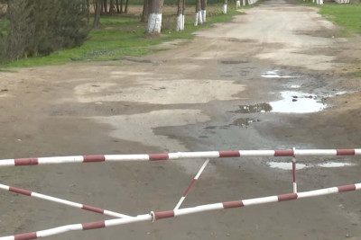 Bakıda ağacları qorumaq üçün maşın yolu bağlanıb