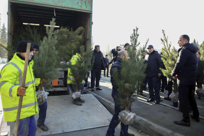 Xətai rayonunda min ağac əkilib