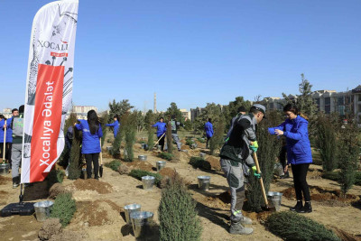 Xocalı soyqırımının 31-ci ildönümü ilə əlaqədar Bakıda 613 ağac əkilib