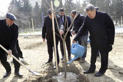 AMEA-da Nadir ağaclar parkı salınıb