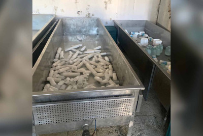 Bakıda süd məhsulları istehsal edən müəssisədə nöqsanlar aşkarlanıb