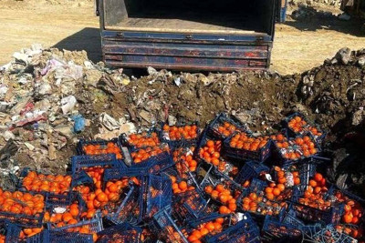İrandan Azərbaycana gətirilən məhsullarda virus tapılıb