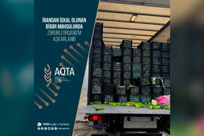 İrandan gətirilən 13 ton bibər məhv olunub