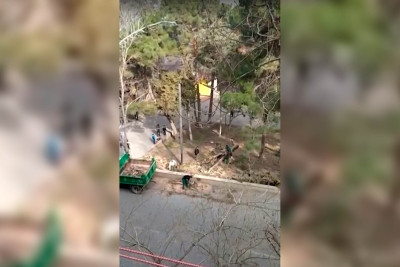 Ramiz Aboyev adına istirahət parkında 42 ağac kəsilib