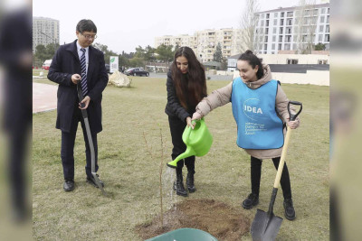 “Gənclik” parkında sakura ağaclarından ibarət bağ salınıb