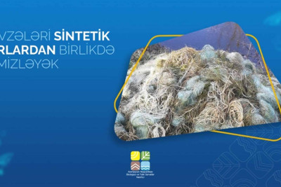 Qanunsuz balıq ovlayan Bakı sakinləri cəzalandırılıblar