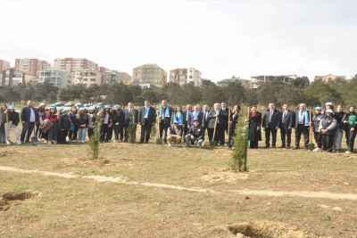 Bakıxanov qəsəbəsində 100 ədəd ağac əkilib