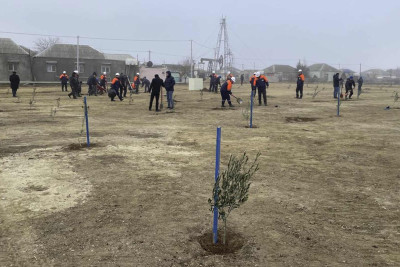Balaxanıda 300 ağac əkilib