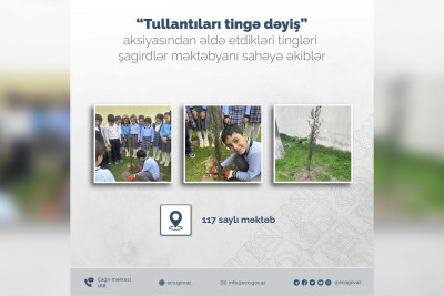 Bakıxanov məktəbinin yaxınlığında ağaclar əkilib