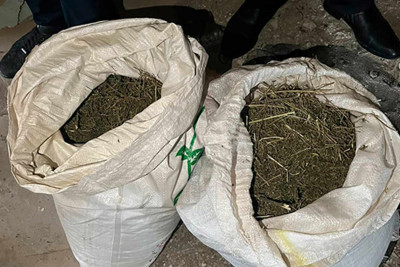 Bakı sakinindən 20 kiloqram marixuana tapılıb