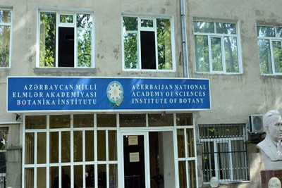 Bakıda nadir nümunələrin olduğu institut köçürülür