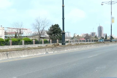 Ziya Bünyadov prospektində olan yaşıllıq zolağı betonlanıb