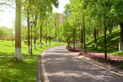 Bakıda yeni park salınacaq