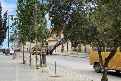 Buzovna qəsəbəsində təmir-bərpa işləri aparılır