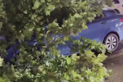 Bakıda “Prius” özü üçün kollarda yuva salıb