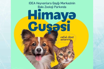 Zooparkda ənənəvi olaraq "Himayə Guşəsi" sərgisi təşkil olunacaq