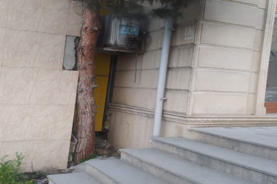 “Əhmədli” metrosunun yaxınlığında ağacları məhv edən şəxs cərimələnib