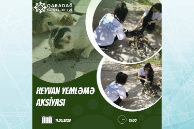 Qaradağ rayonunda gənclər evsiz heyvan yemləmə aksiyası keçirəcəklər