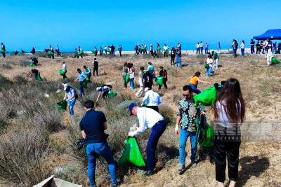 Zirədə dəniz sahilində iməcilik keçirilib