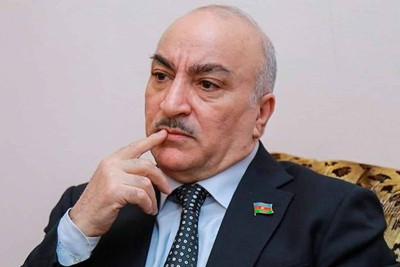 Millət vəkili Bakıda yayılan həşaratlardan və evsiz itlərdən narazıdır: “İndi nə edək, itləri yığıb Koreyaya sataq?”
