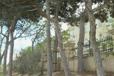Bakıda təhlükəli ağaclar kəsilmir