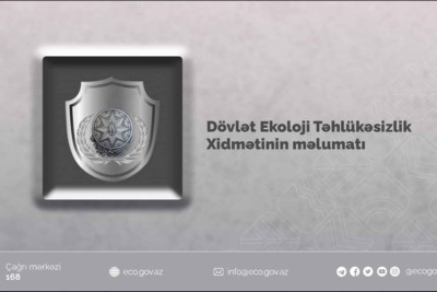 Bakıda qanunsuz ağac kəsimləri aşkarlanıb