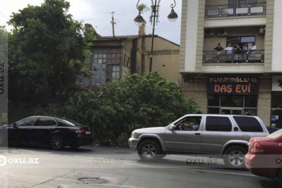 “Yaşıl Bazar”ın yanında ağac aşaraq piyadaların yolunu bağlayıb
