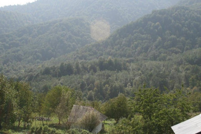 Gəzməyə gedən Bakı sakini Lerikdə dərəyə düşüb