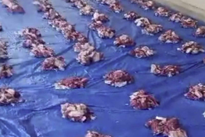 Bakıda 120 aztəminatlı ailəyə Qurban payı çatdırılıb