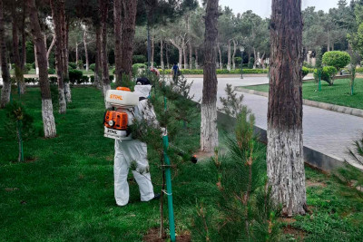 Yay mövsümünün gəlişi ilə əlaqədar Xəzər rayonunda abadlıq işlərinə başlanılıb