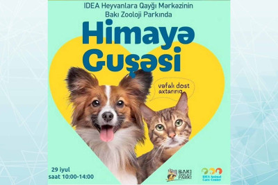 Bakı İdman Sarayında sərgi keçirilir