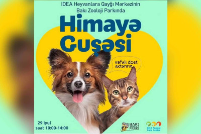 Zooparkda sahibsiz heyvanlara sahiblənmək istəyənlər üçün tədbir keçiriləcək