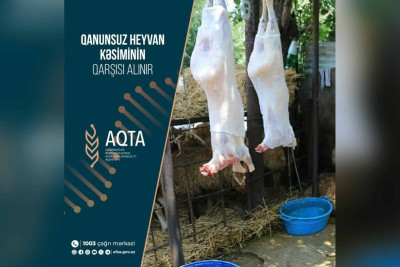 Paytaxtın müxtəlif ünvanlarında heyvan kəsimi məntəqələri yoxlanılıb