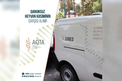 Nizami və Xətaidə qanunsuz heyvan kəsimi məntəqələri cərimələnib