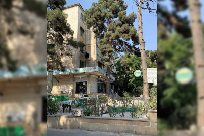Nizami rayonunda irigövdəli ağac pilləkənə betonlanıb