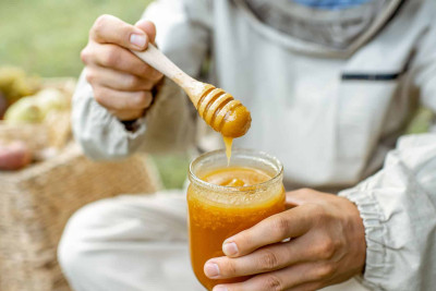 Bakıda payızda növbəti dəfə bal yarmarkası təşkil olunacaq