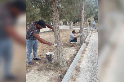 Xəzərdə genişmiqyaslı iməcilik keçirilib