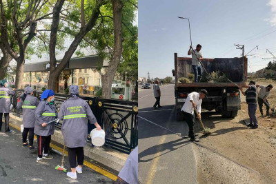 Bakının iki rayonunda iməcilik tədbirləri keçirilib