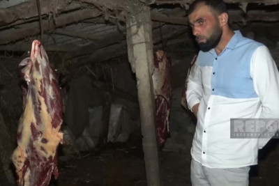 Bakıda antisanitar şəraitdə kəsilən at ətini satmaq istəyən şəxslər saxlanılıblar
