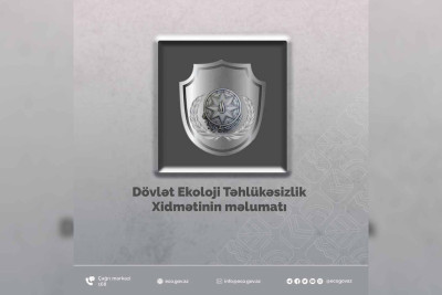 Bakının 3 rayonunda ağaclar qanunsuz şəkildə kəsilib