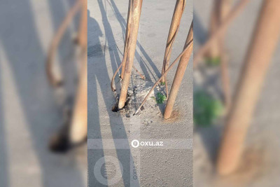 Balaxanıdakı ciddi təhlükə mənbəyinə çevrilən işıq dirəyi bərpa olunub - YENİLƏNİB