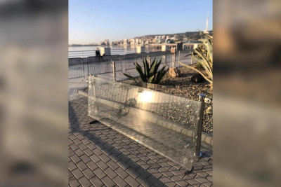 Bakı bulvarında olan kaktuslar vandallardan mühafizə olunub