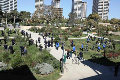 Bakıdakı parklarda ağacəkmə aksiyaları keçirilib